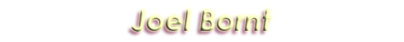 Joel Bornt